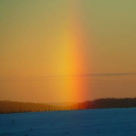 Appreciating the Icy Winter on the Farm Image